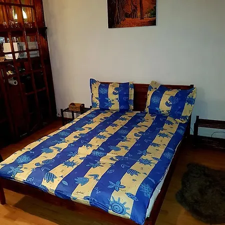 Appartement Goldie Central Bucarest